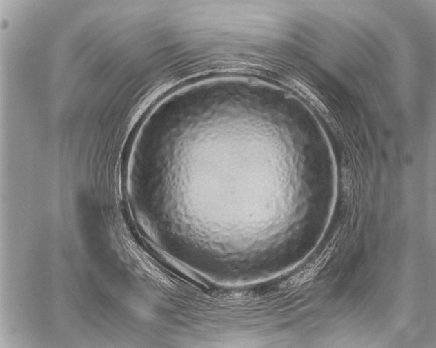 X0000059800891200510211049