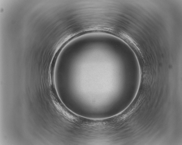 X0000059800892200510211049