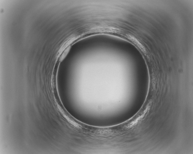 X0000059800893200510211049