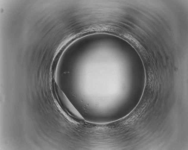 X0000059800894200510211049