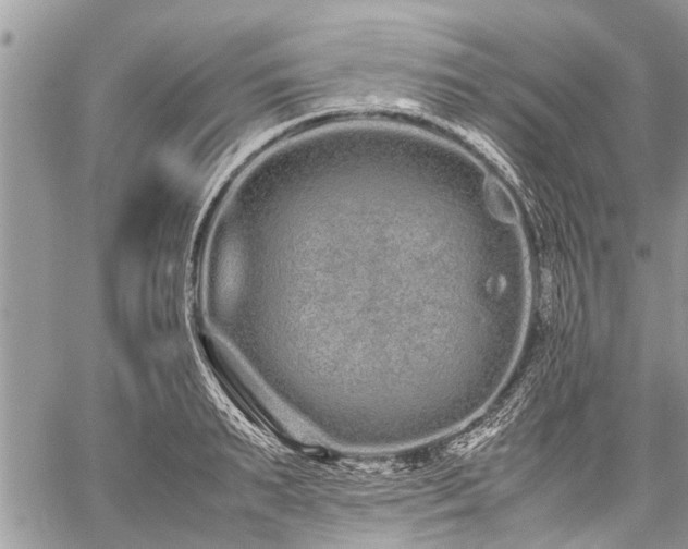 X0000059800895200510211049