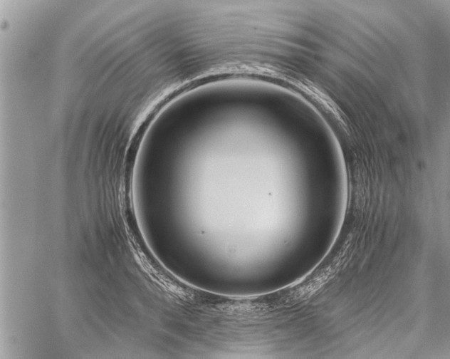 X0000059800896200510211049