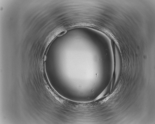 X0000059800898200510211049