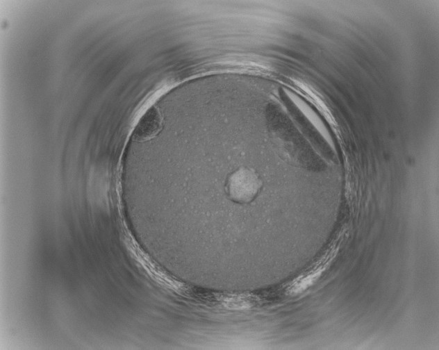 X0000059800899200510211049