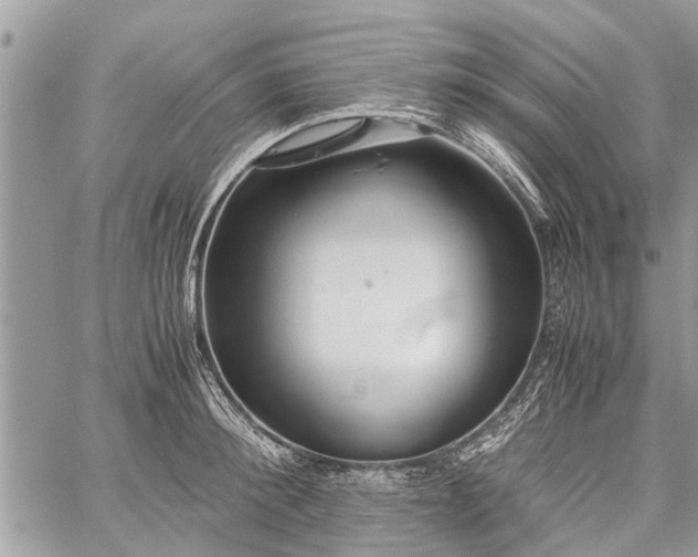 X0000059800900200510211049