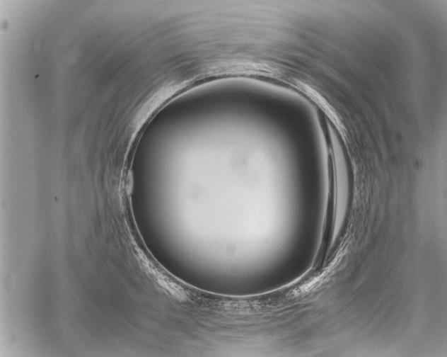 X0000059800901200510211048