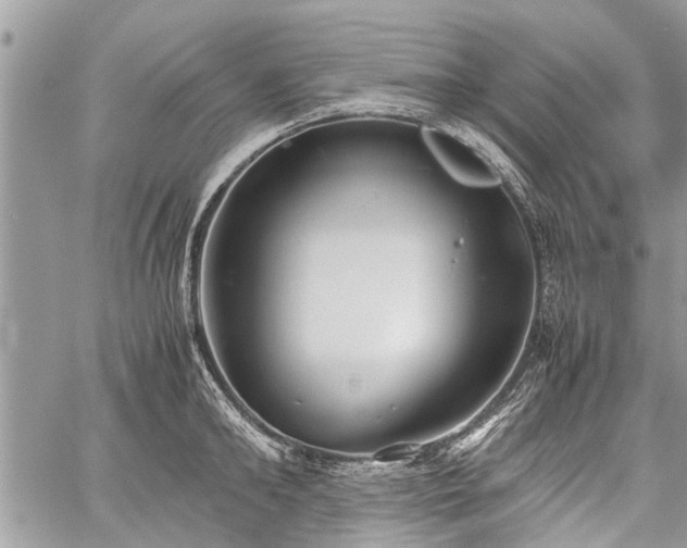 X0000059800902200510211048