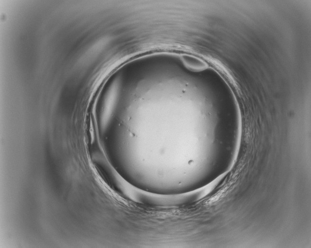 X0000059800903200510211048