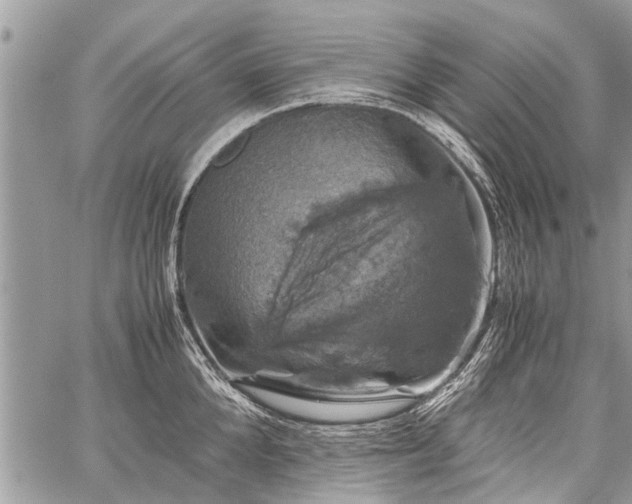 X0000059800904200510211048