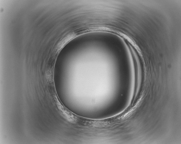 X0000059800905200510211048