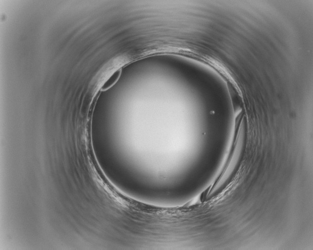 X0000059800906200510211048