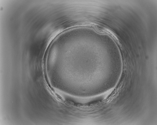 X0000059800907200510211048