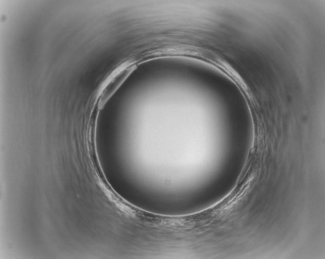 X0000059800909200510211048