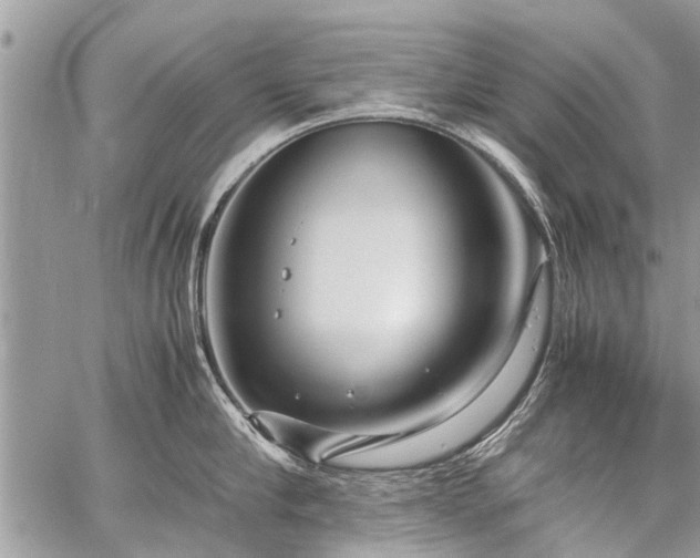 X0000059800910200510211048