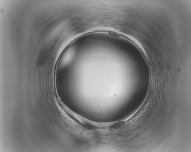 X0000059800911200510211048