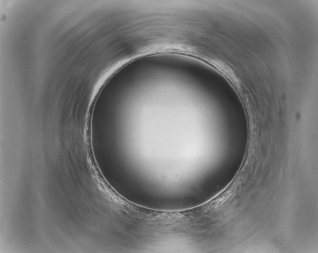 X0000059800912200510211048