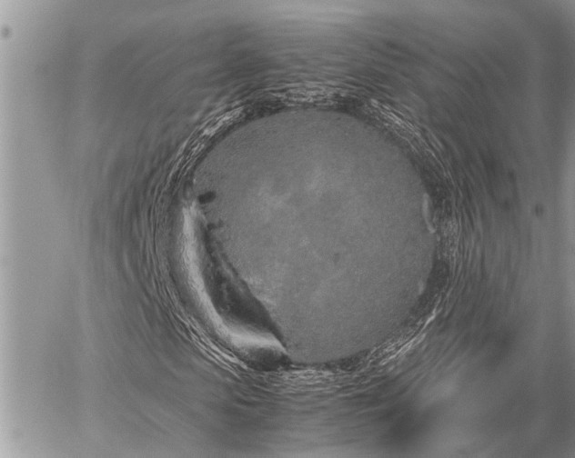 X0000059800913200510211048