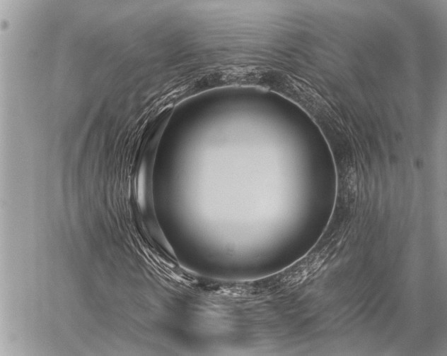 X0000059800914200510211048