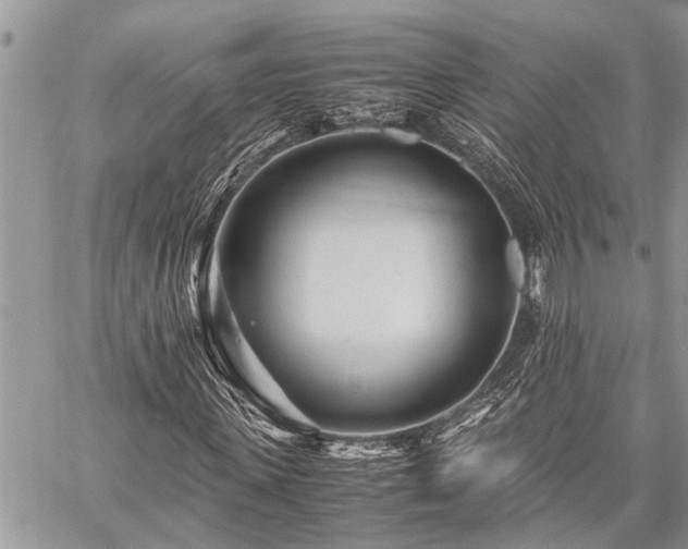 X0000059800915200510211048