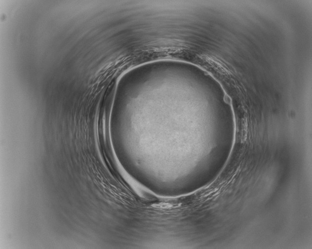 X0000059800917200510211048