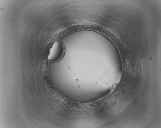 X0000059800918200510211048