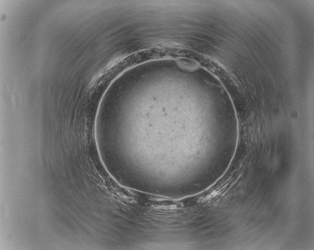 X0000059800919200510211048