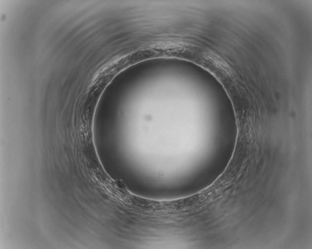 X0000059800920200510211048