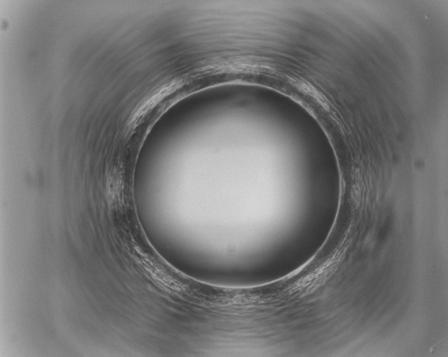 X0000059800922200510211048