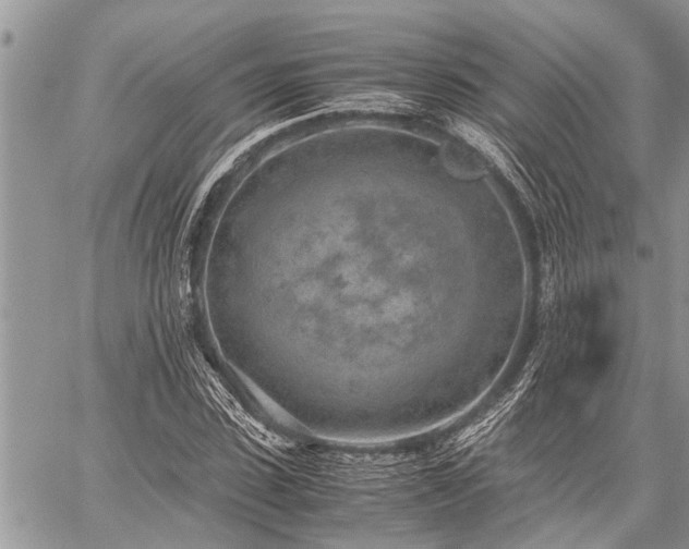 X0000059800923200510211048