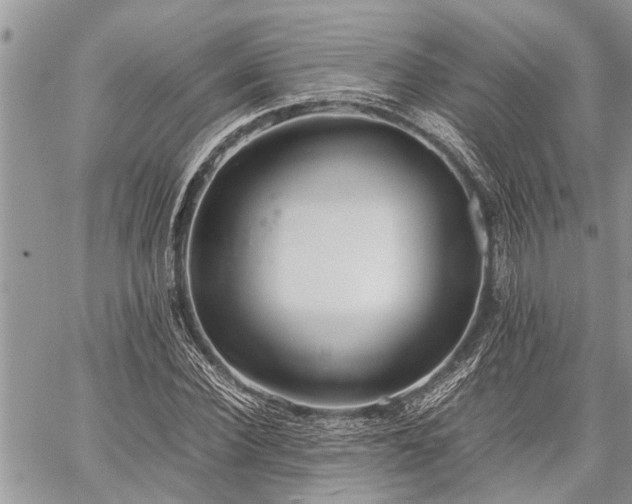 X0000059800924200510211048