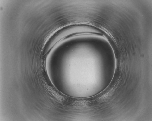 X0000059800926200510211048