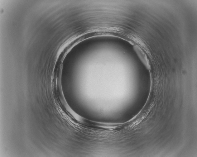 X0000059800928200510211048