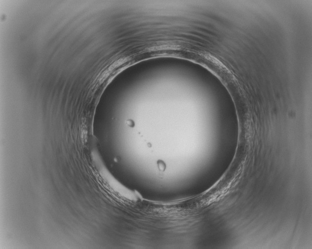 X0000059800929200510211048