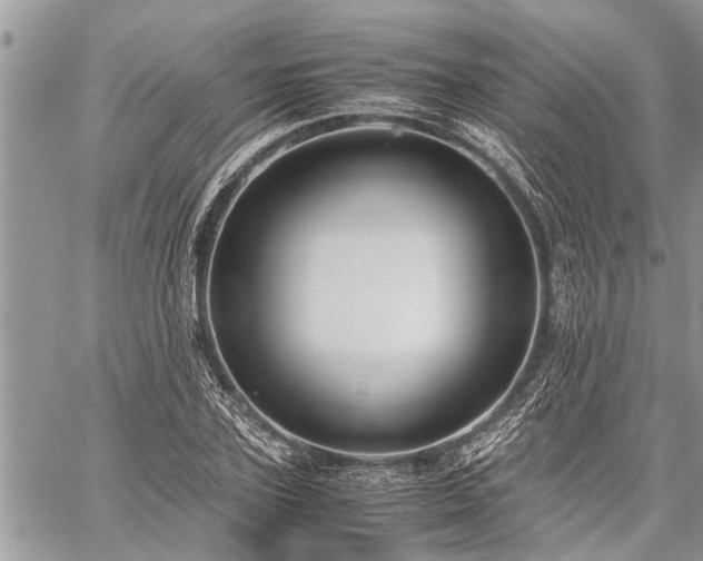 X0000059800931200510211048