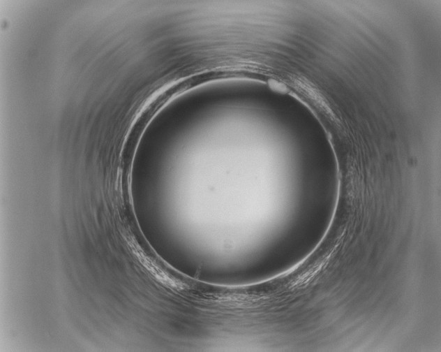 X0000059800932200510211048