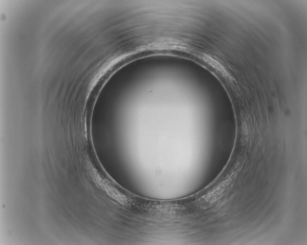 X0000059800934200510211048