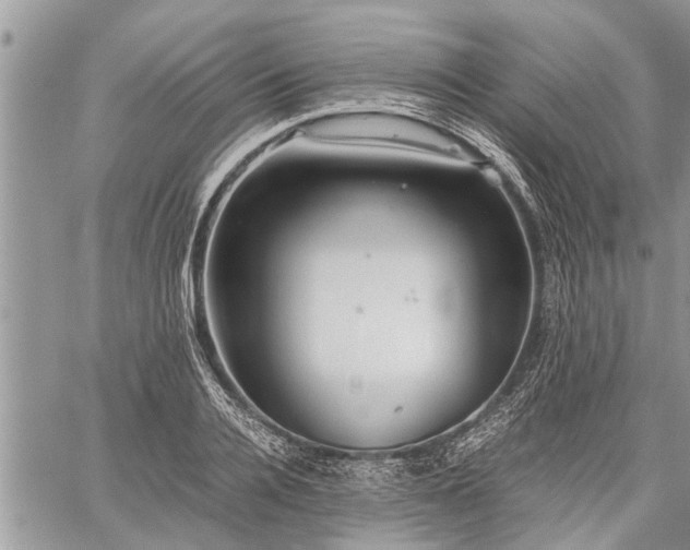 X0000059800936200510211048