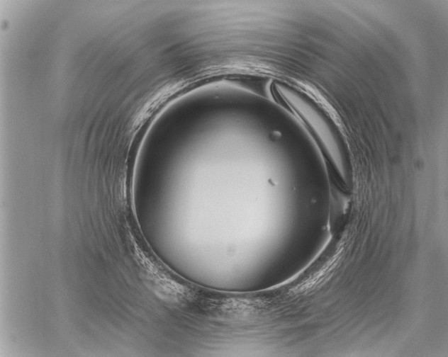 X0000059800938200510211048