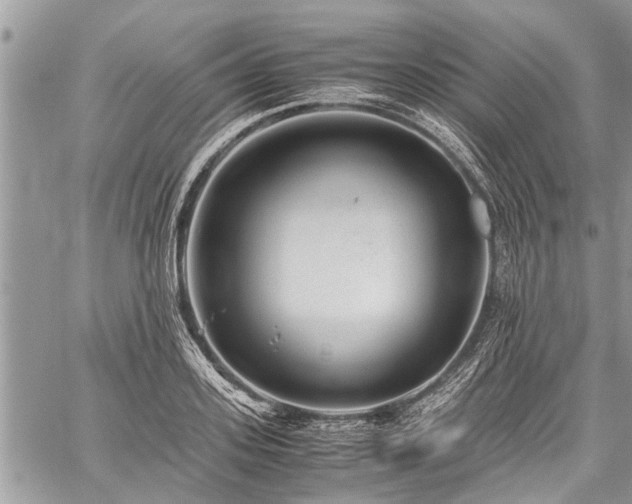 X0000059800939200510211048