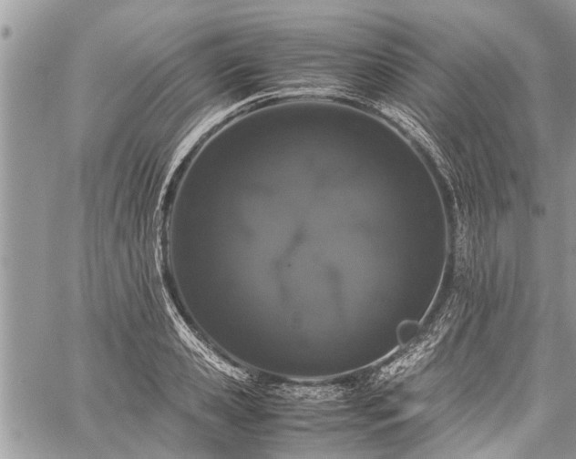 X0000059800941200510211048