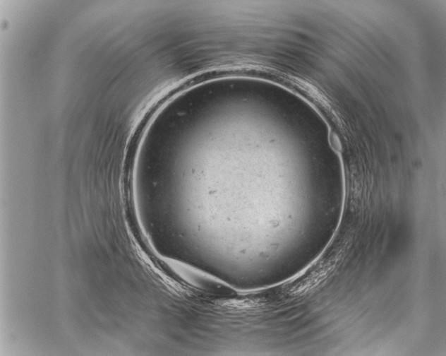 X0000059800943200510211048