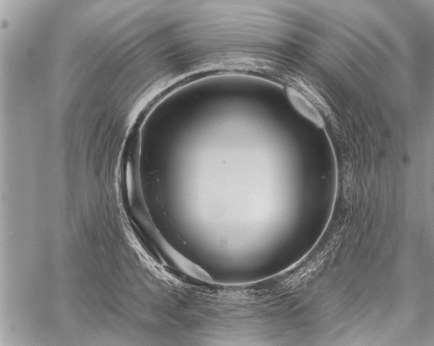 X0000059800944200510211048