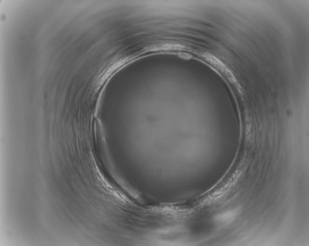 X0000059800945200510211048