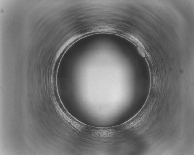 X0000059800947200510211048