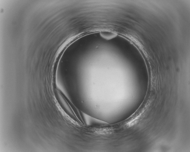 X0000059800949200510211048