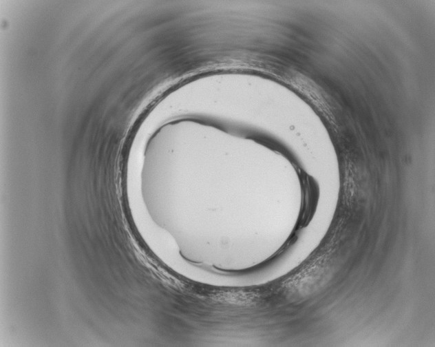 X0000059800950200510211048