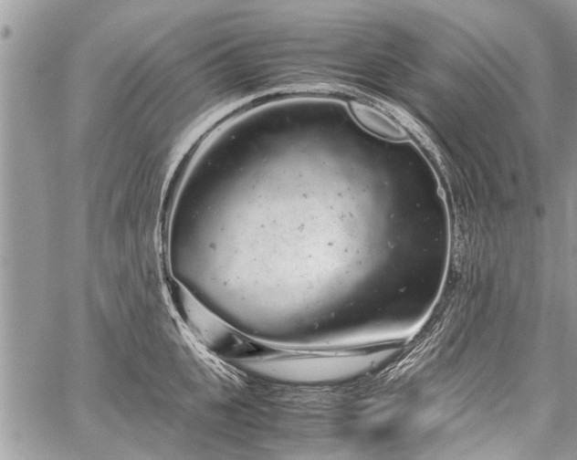 X0000059800951200510211048