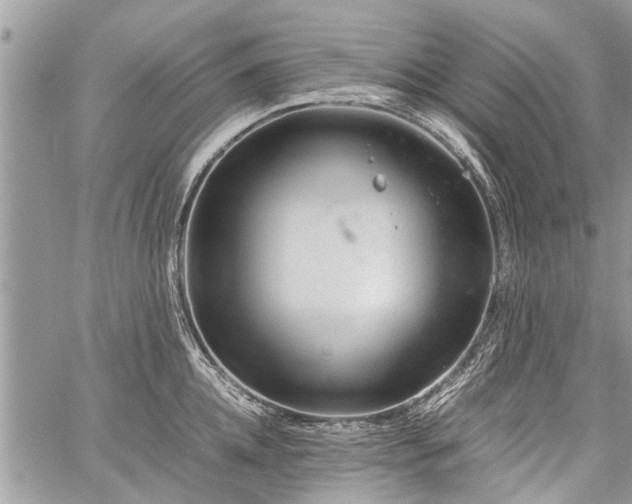 X0000059800952200510211048