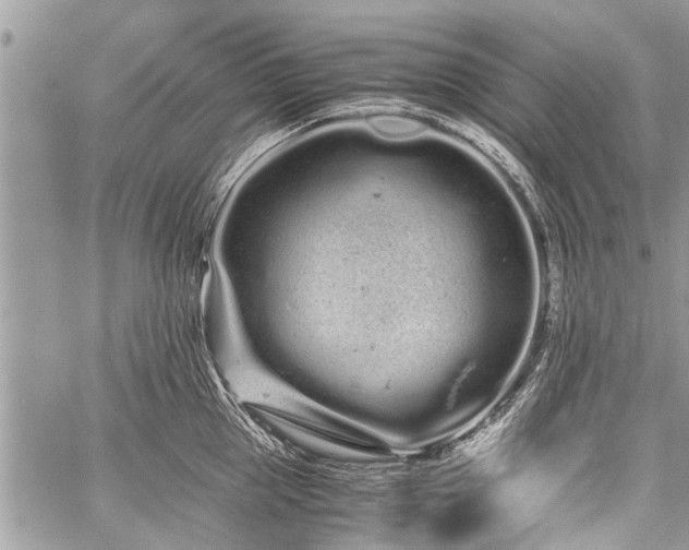 X0000059800953200510211048