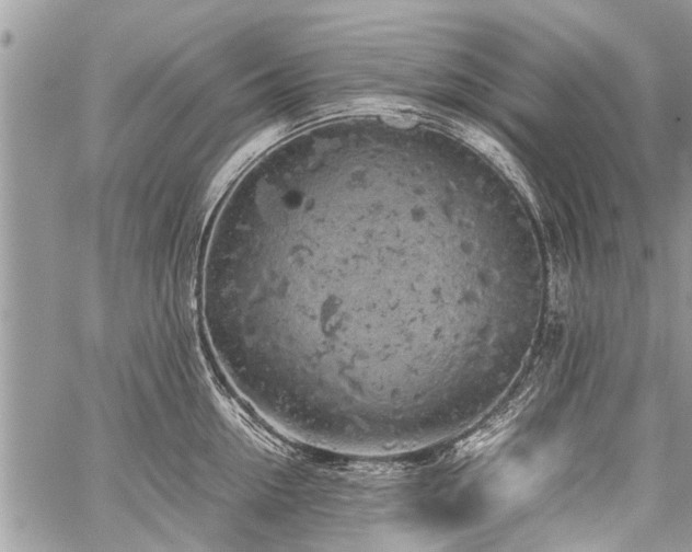 X0000059800954200510211048